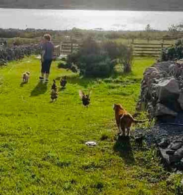 Curlews Rest - Gateway To The Aran Islands Apartment Galway Luaran gambar